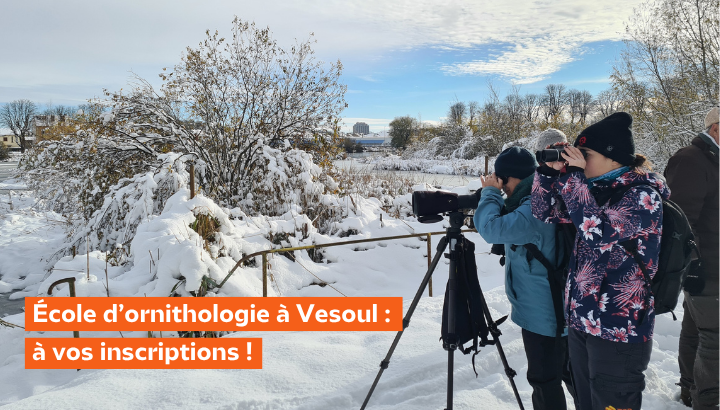 Écoutez, observez, apprenez : une nouvelle École d’ornithologie ouvre en Haute-Saône !